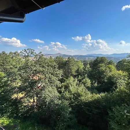 57, Titova Vila, Zlatibor 公寓 Palisat