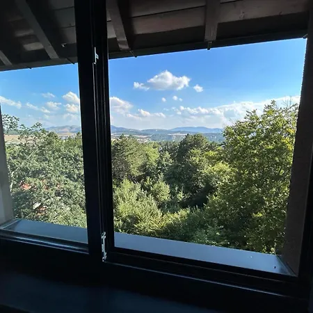 57, Titova Vila, Zlatibor Palisat