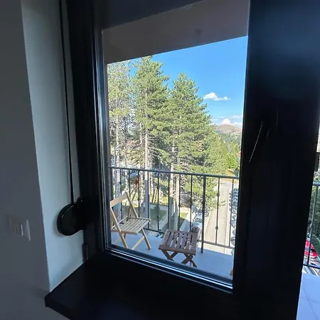 57, Titova Vila, Zlatibor 公寓 Palisat