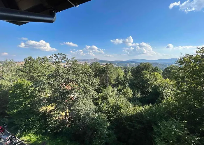 57, Titova Vila, Zlatibor アパート Palisat